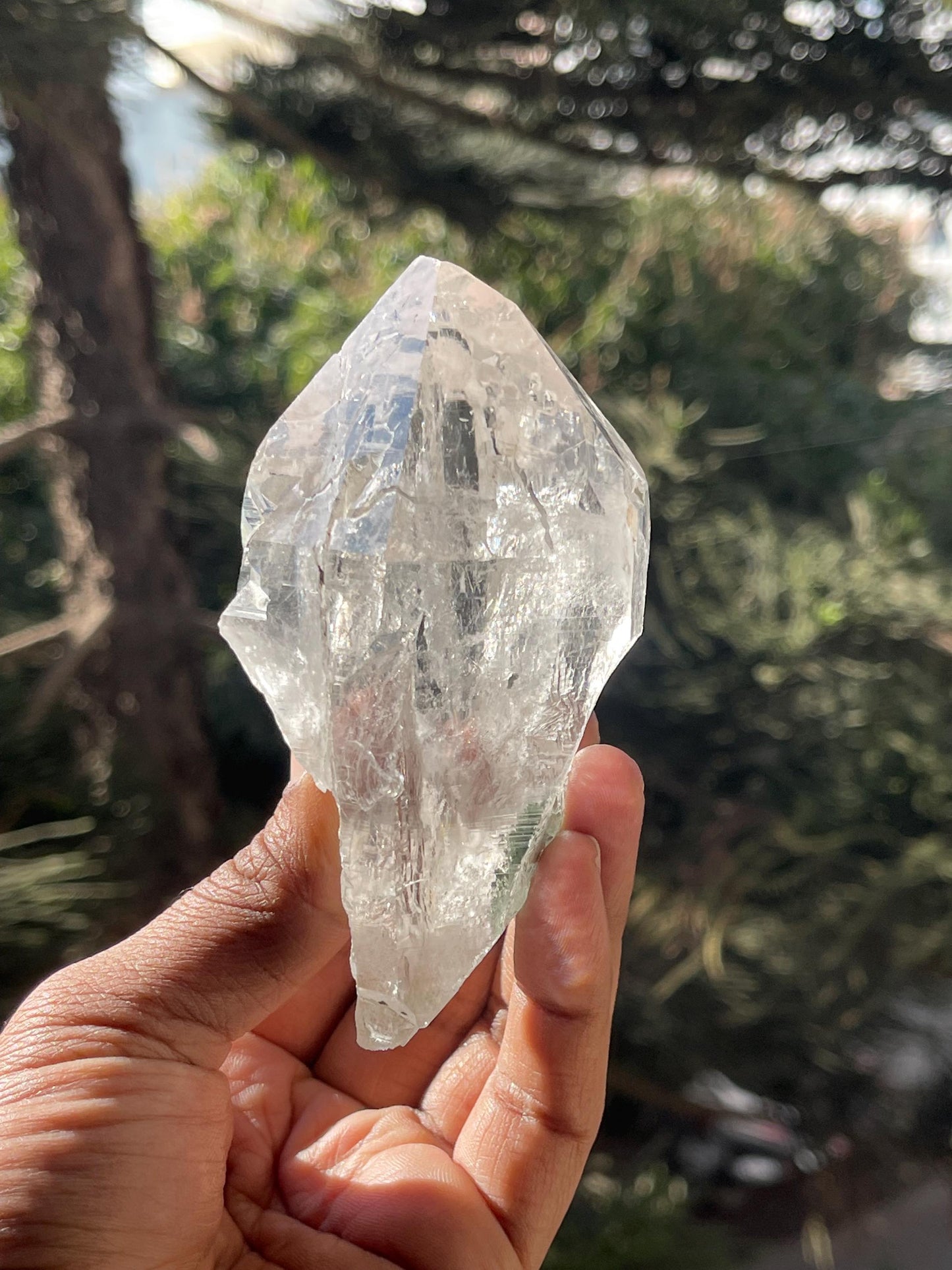 Himalayan clear cathedral quartz crystal with green chloride