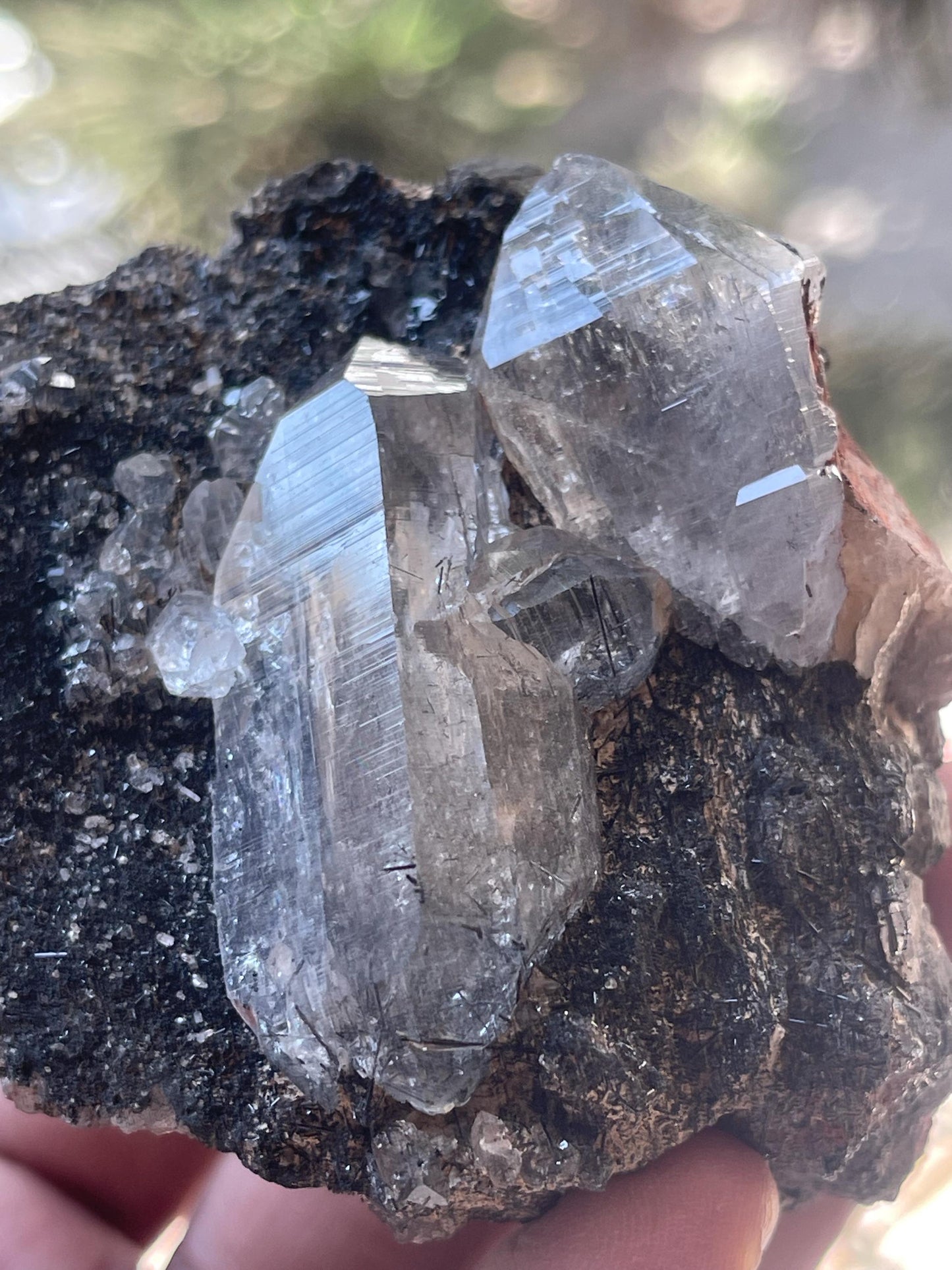 twice Himalayan quartz crystal on black rutile matrix rare find