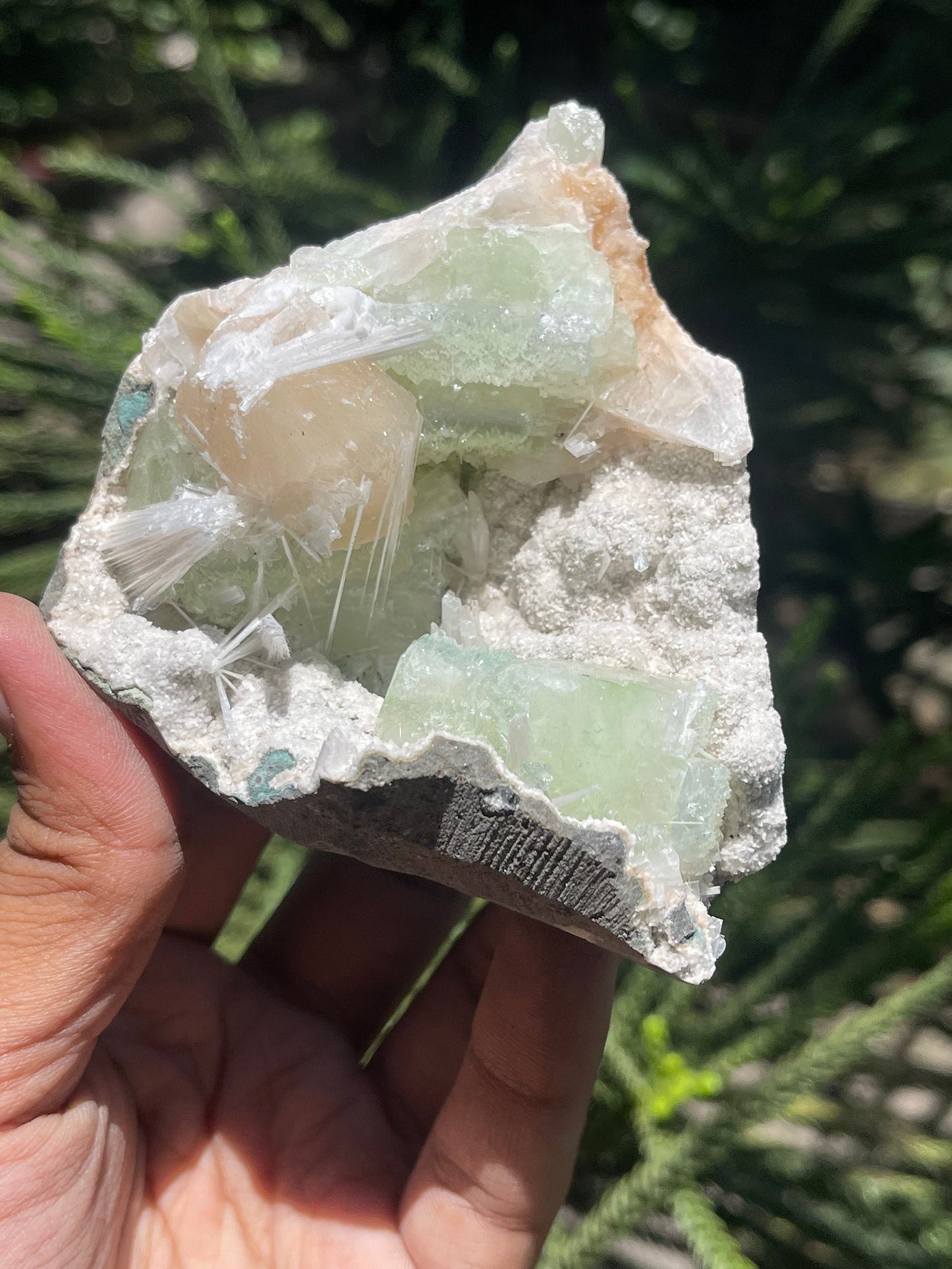 Green apophyllite crystal with stilbite/scolecite