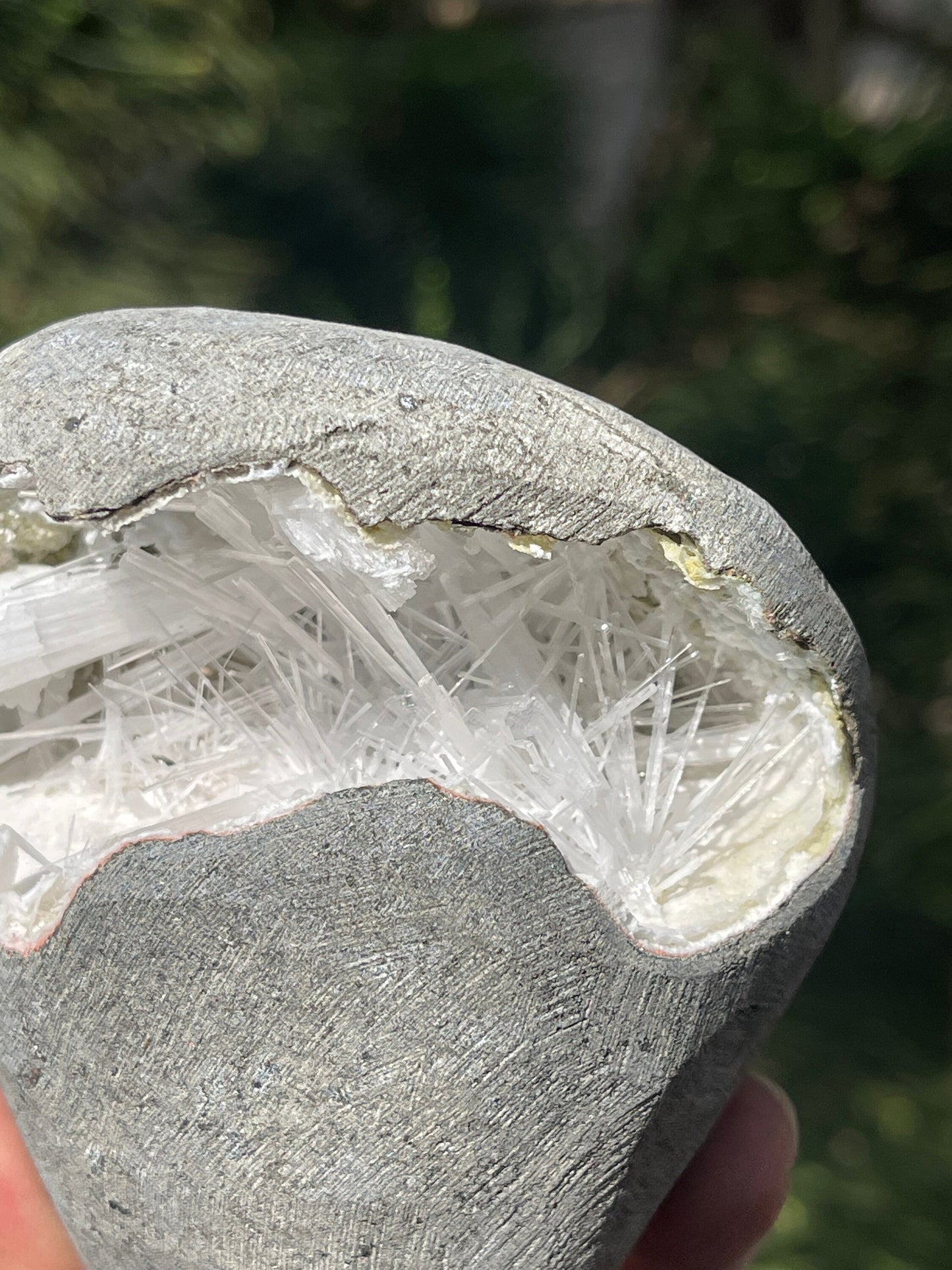 Scolecite crystals inside geode
