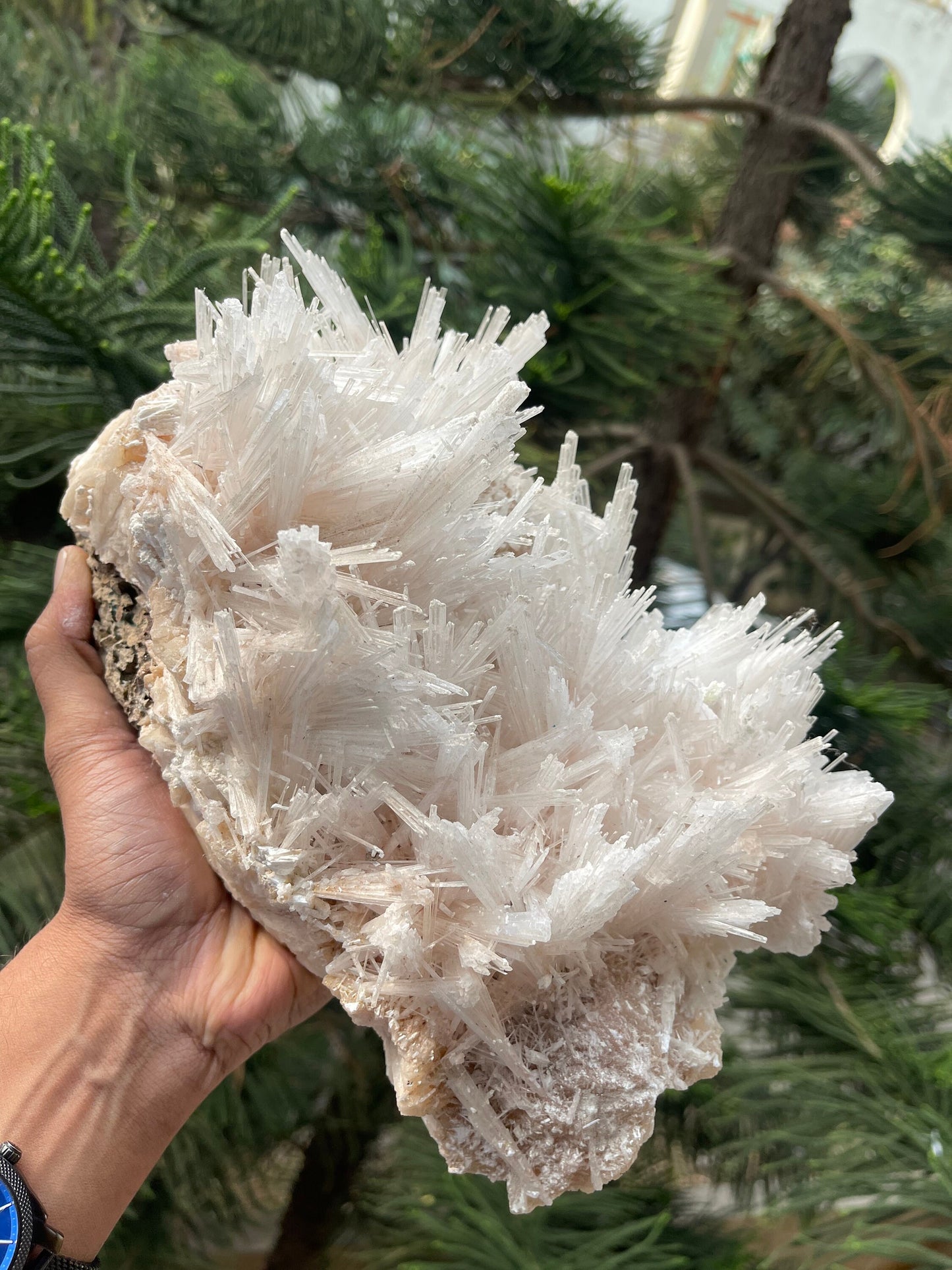 Scolecite spray on stilbite base