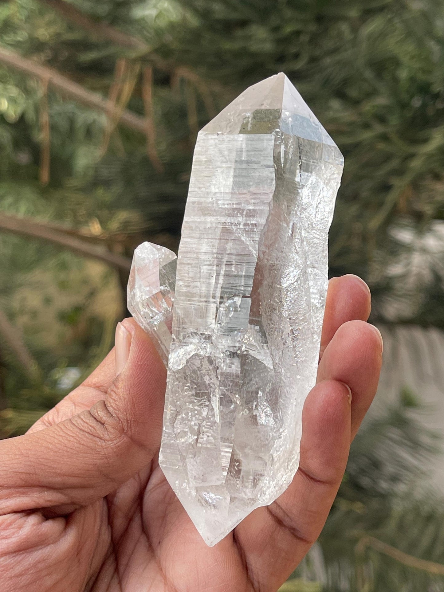 Double terminated Himalayan quartz floaters crystal