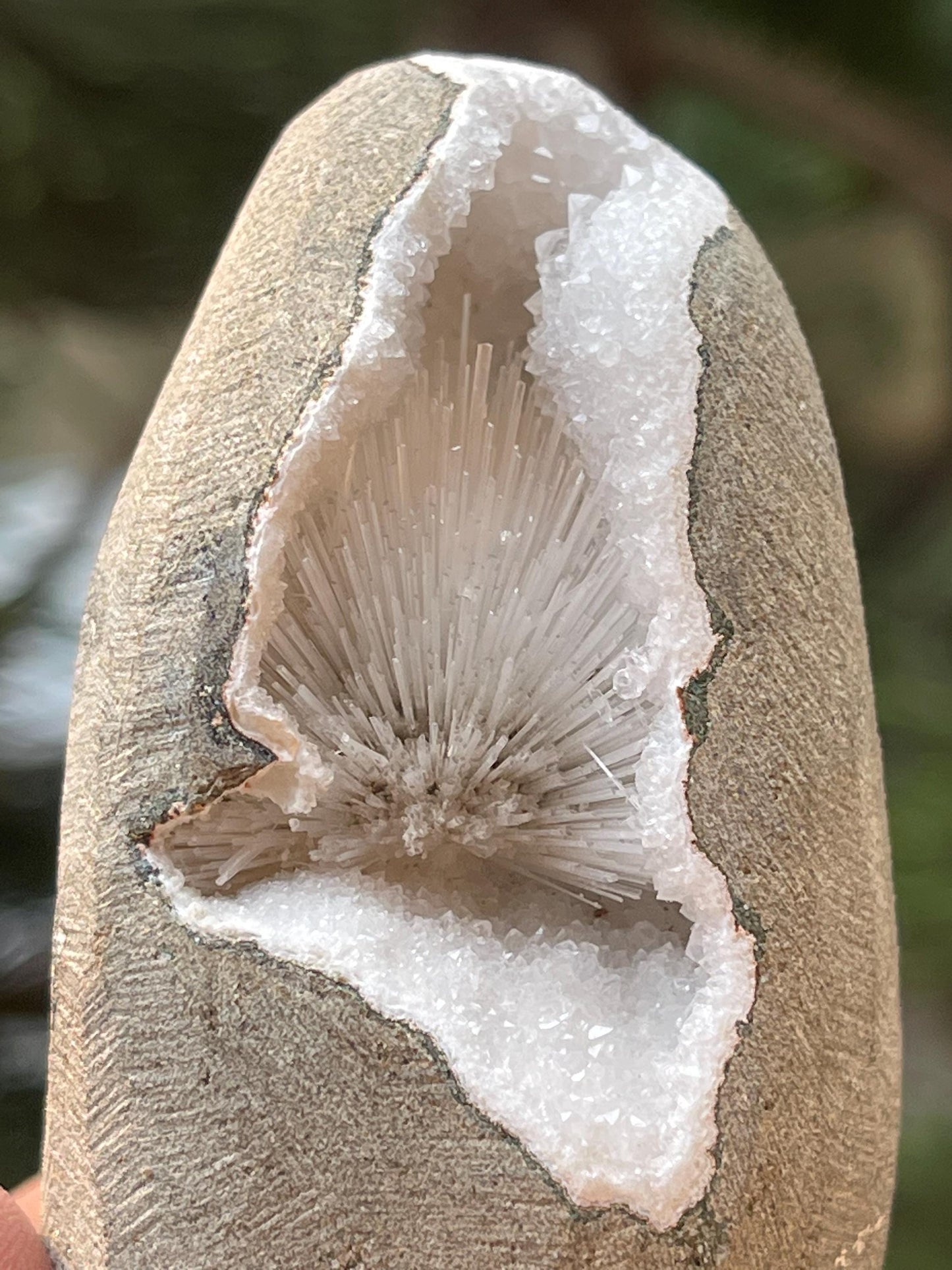 Scolecite flower inside geode