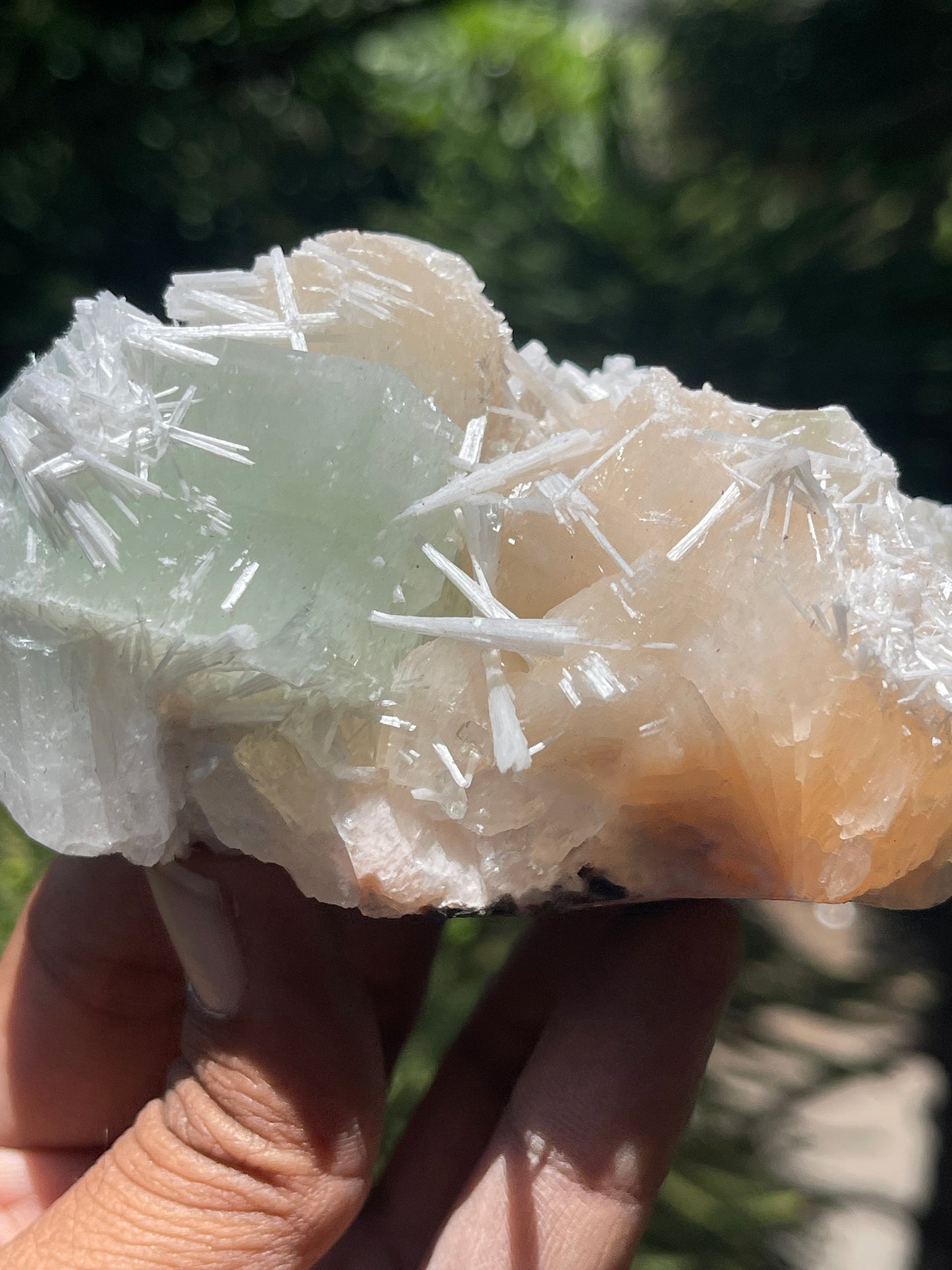 Green apophyllite crystal with stilbites and scolecite
