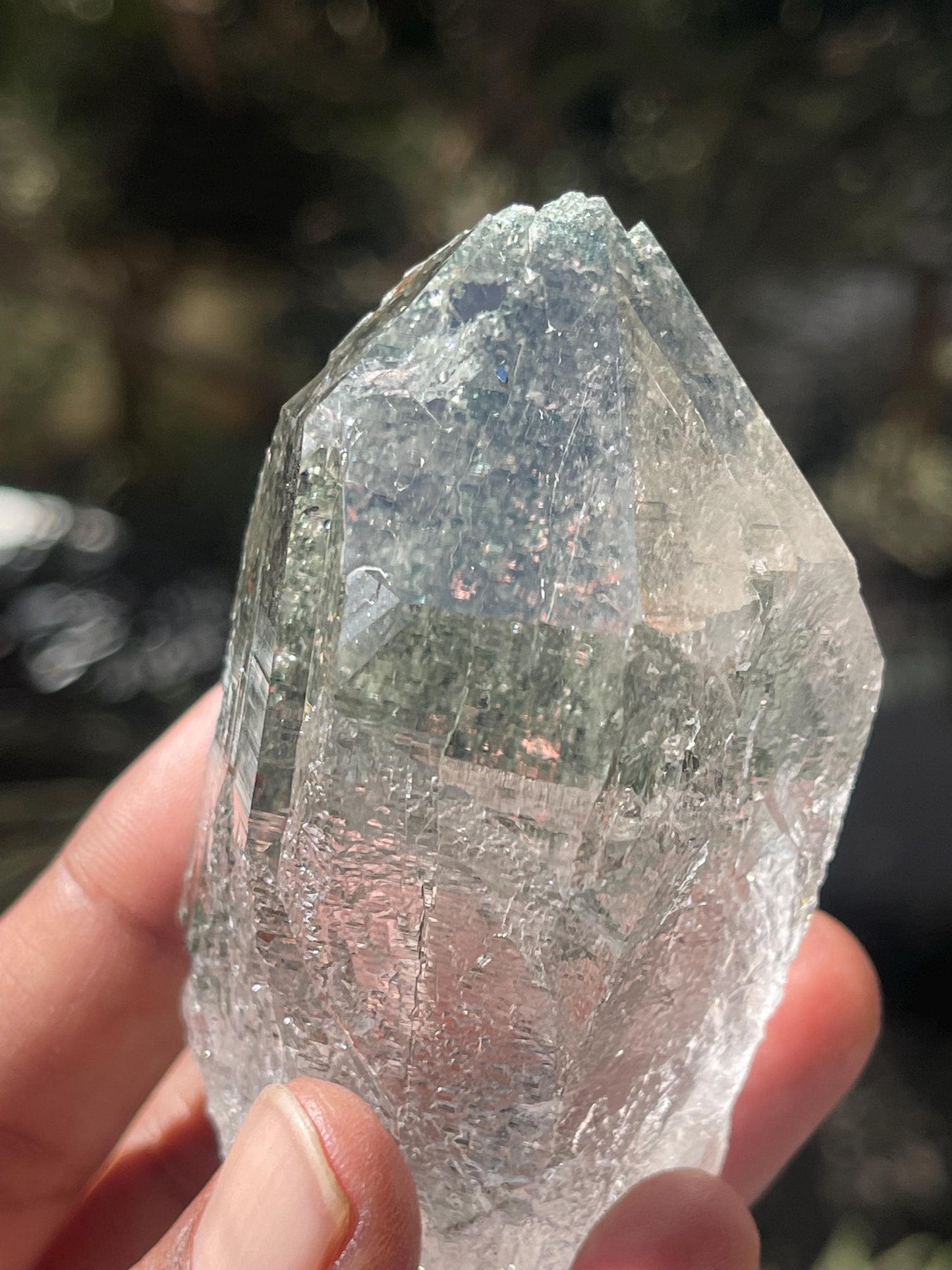 Rare Himalayan Cathedral Quartz Crystal with Green Chlorite – High-Energy Healing crystal