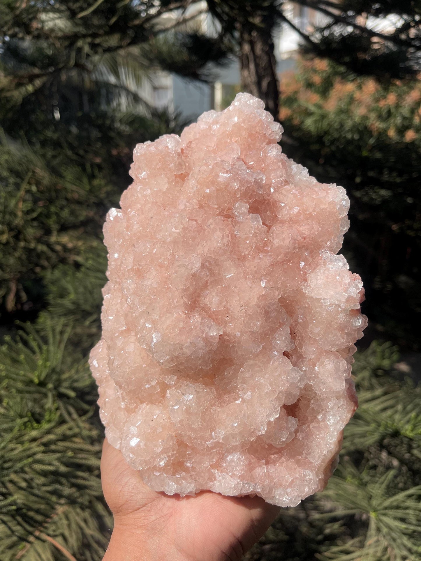 glossy pink apophyllite mineral specimen
