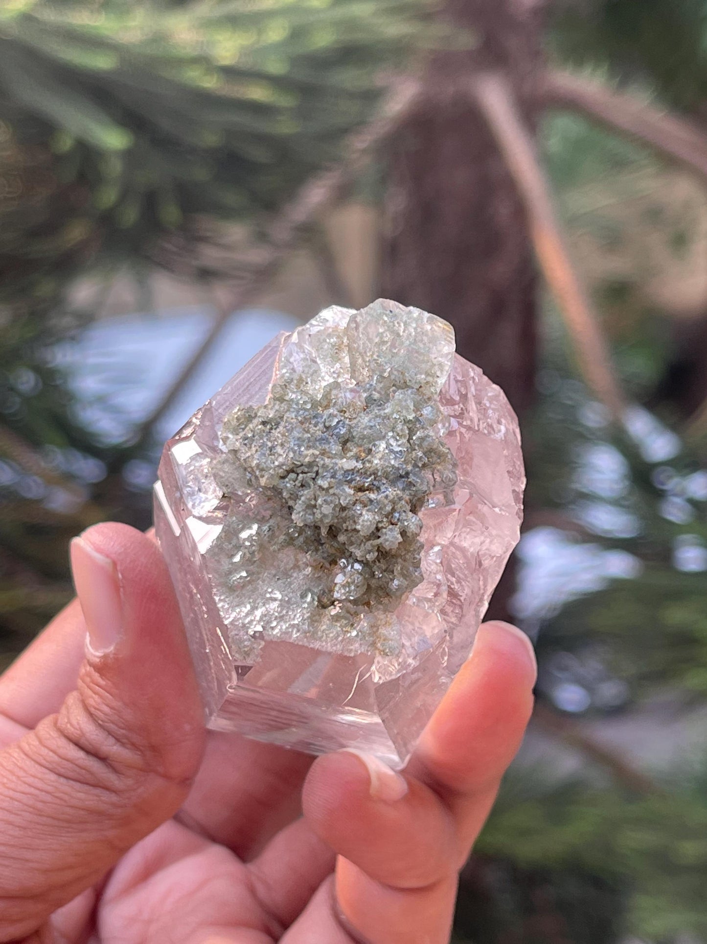 Clear Himalayan cathedral quartz