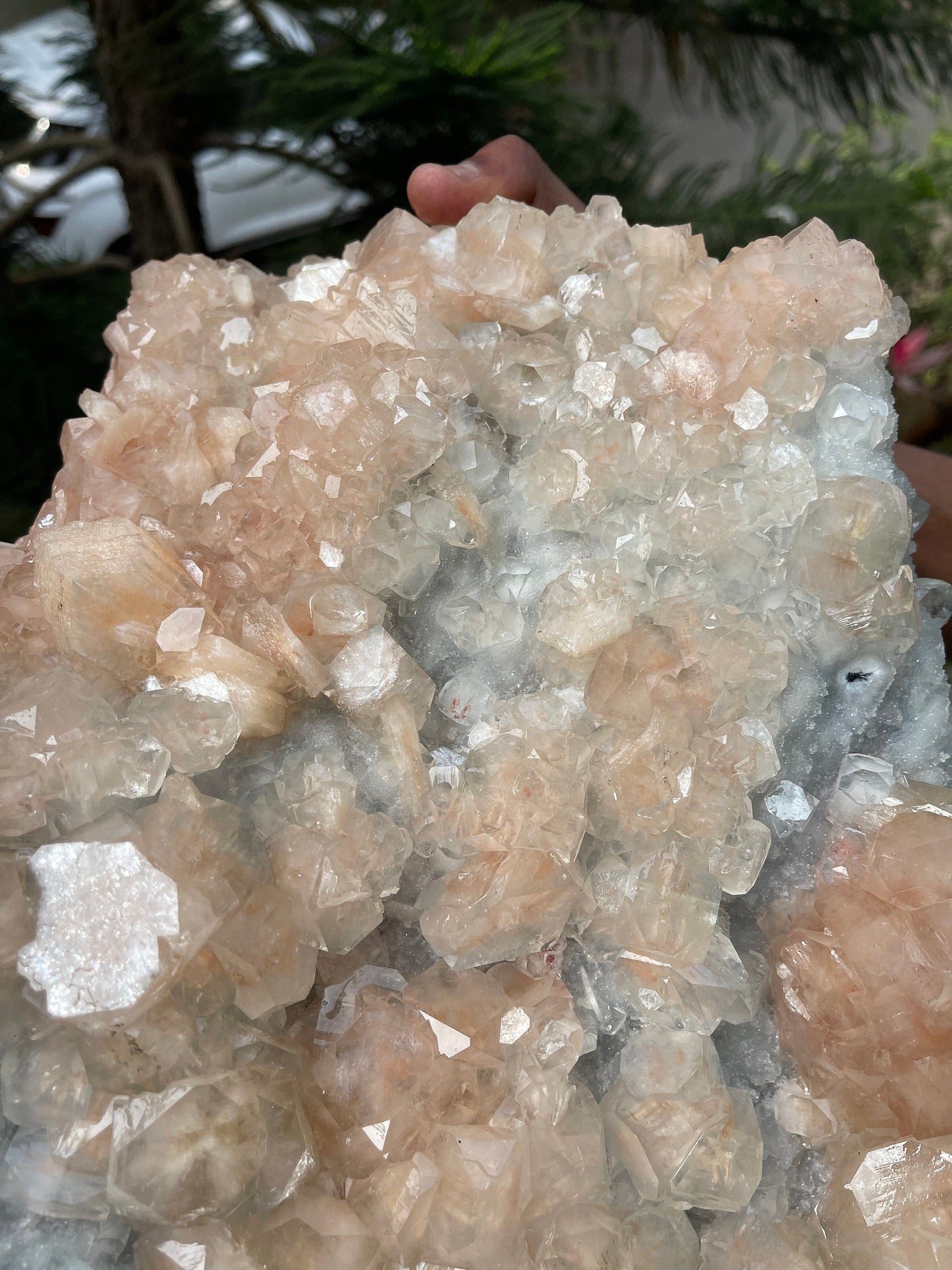 14kg Pink apophyllite crystal on white chalcedony base