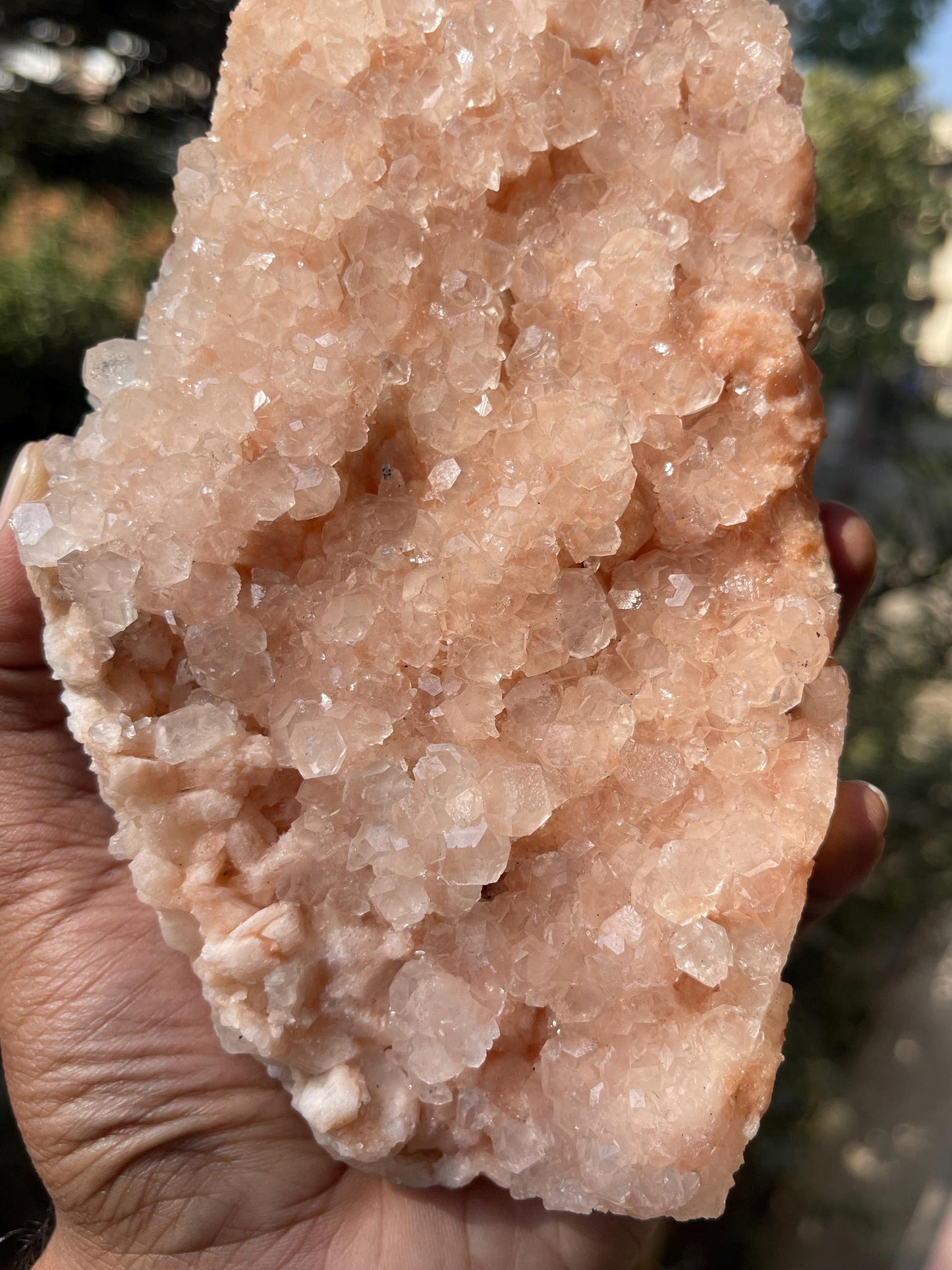 Glossy Pink Apophyllite Crystal – Stunning Natural Mineral Specimen
