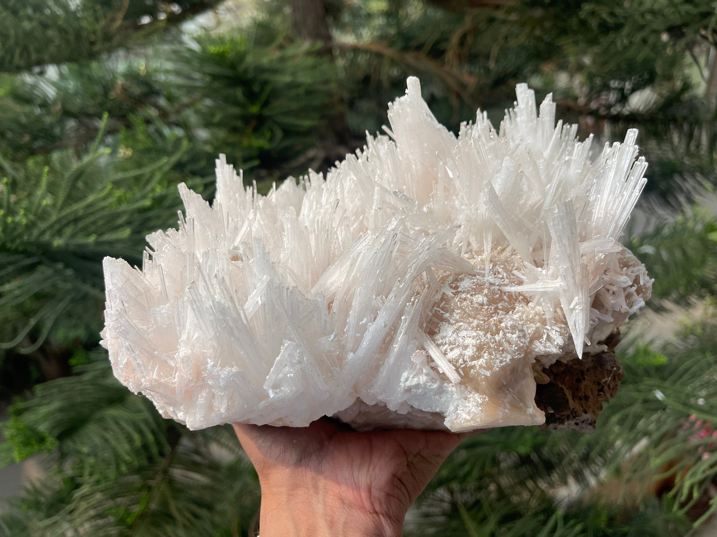 Scolecite spray on stilbite base