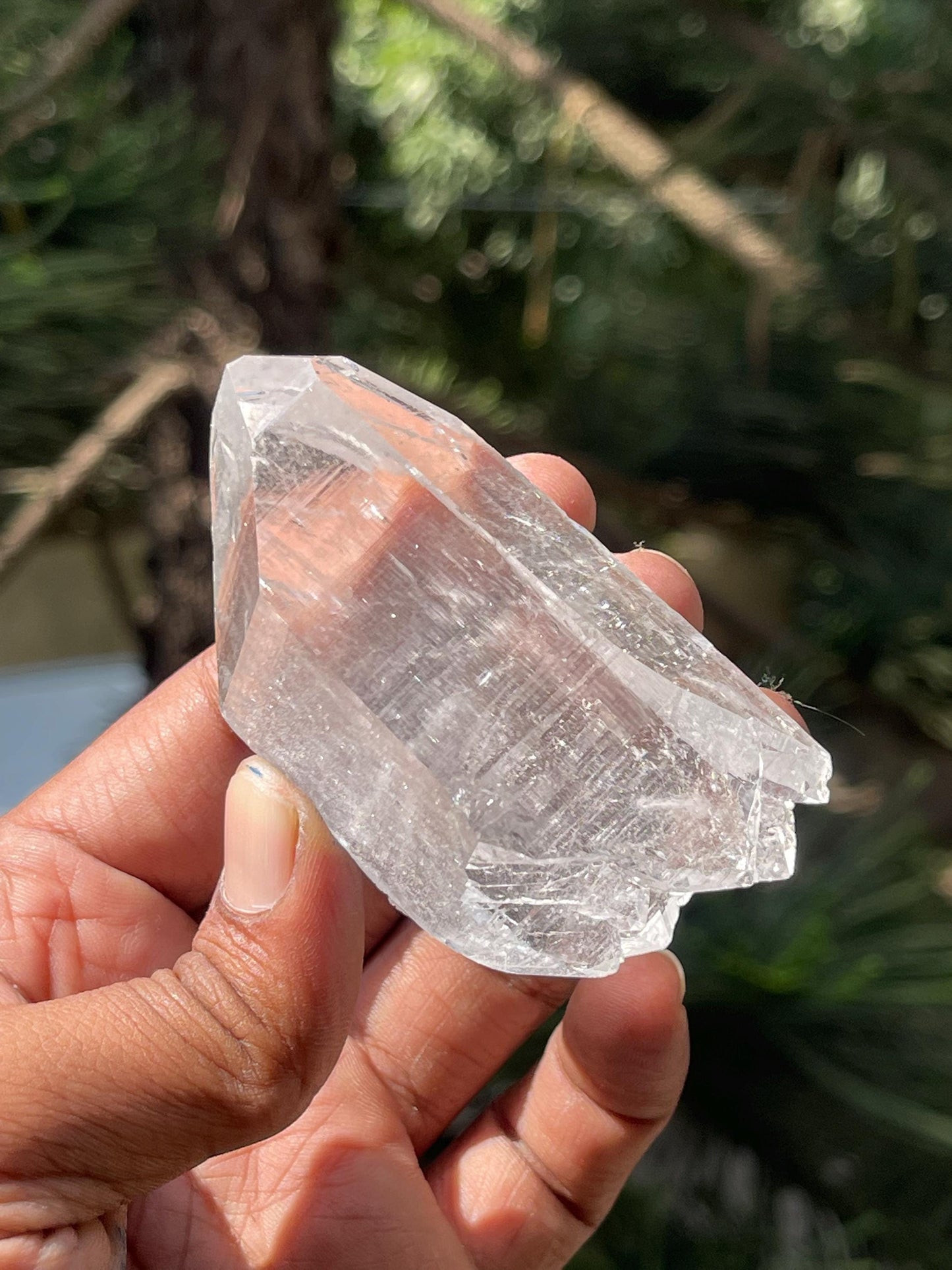 Himalayan quartz floater crystal