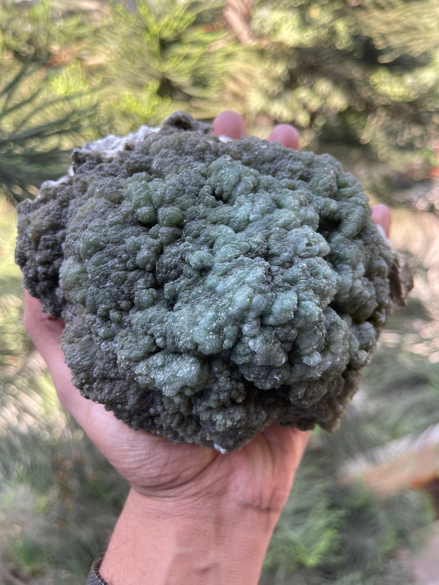 Rare specimens green stilbite on mordenite base