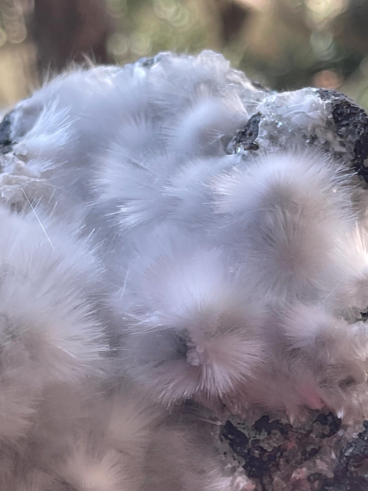 mesolite flowers on matrix new find