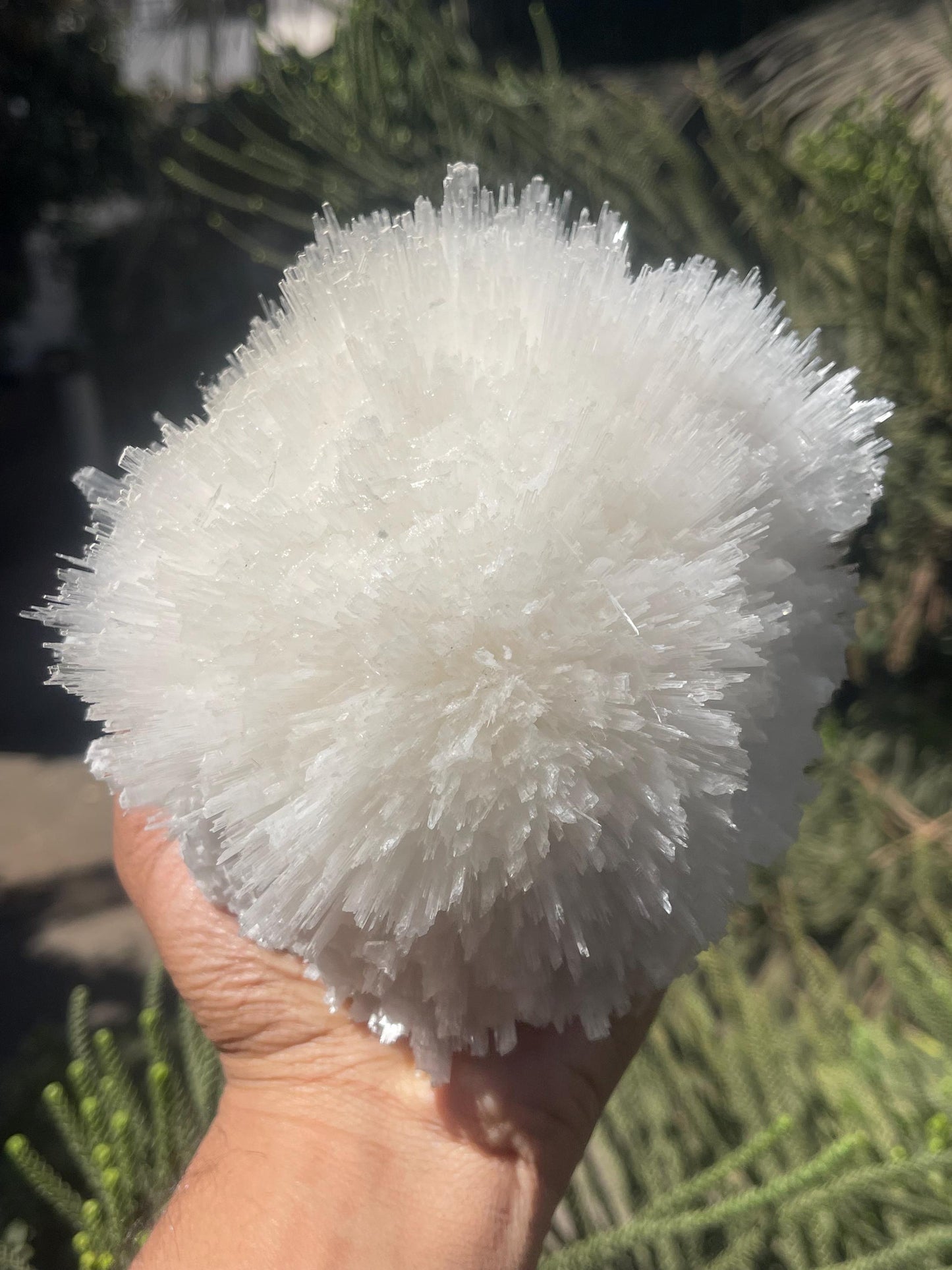 perfect scolecite flower