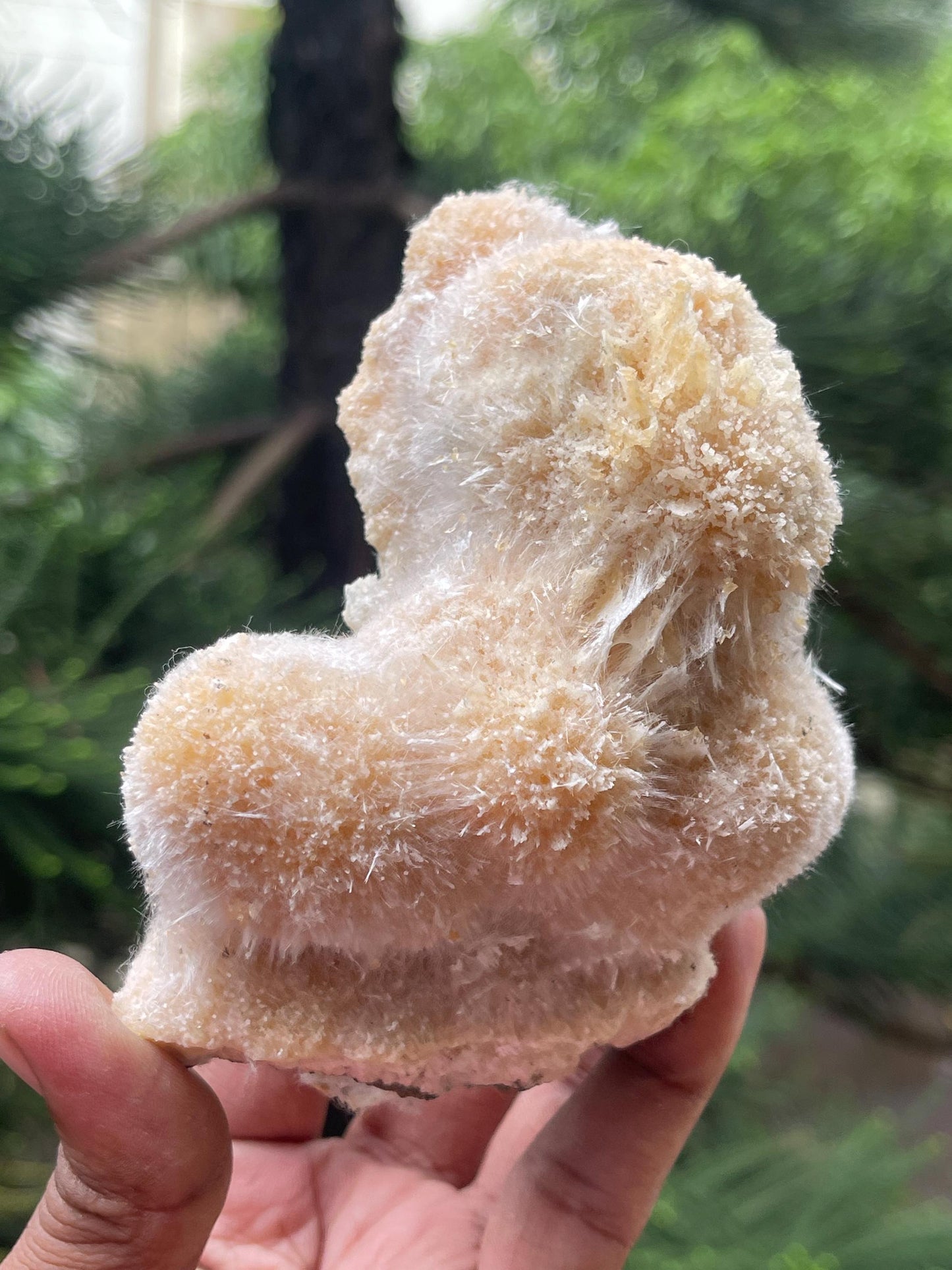 Golden thomsonite ball on matrix new find