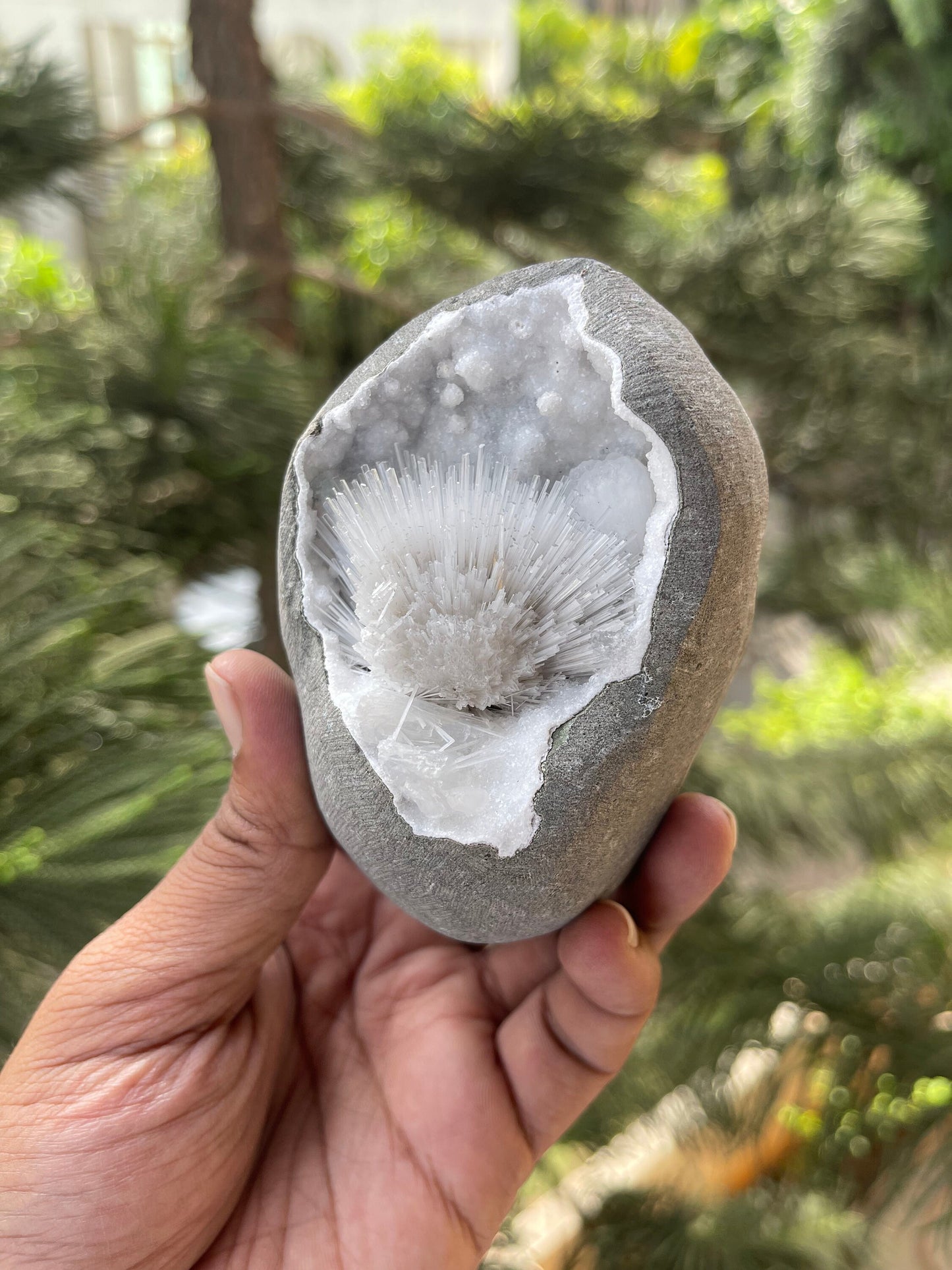 Scolecite flower with stilbite crystal insides quartz geode