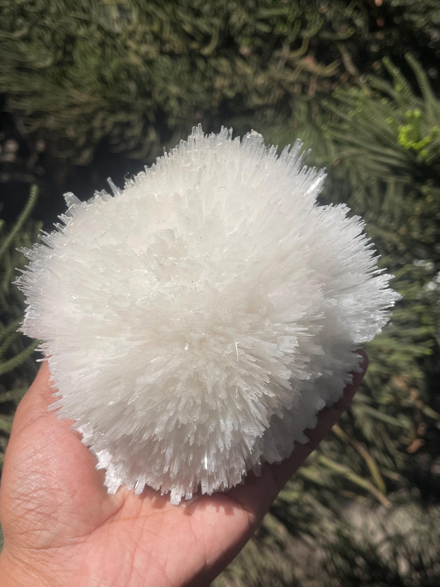 perfect scolecite flower
