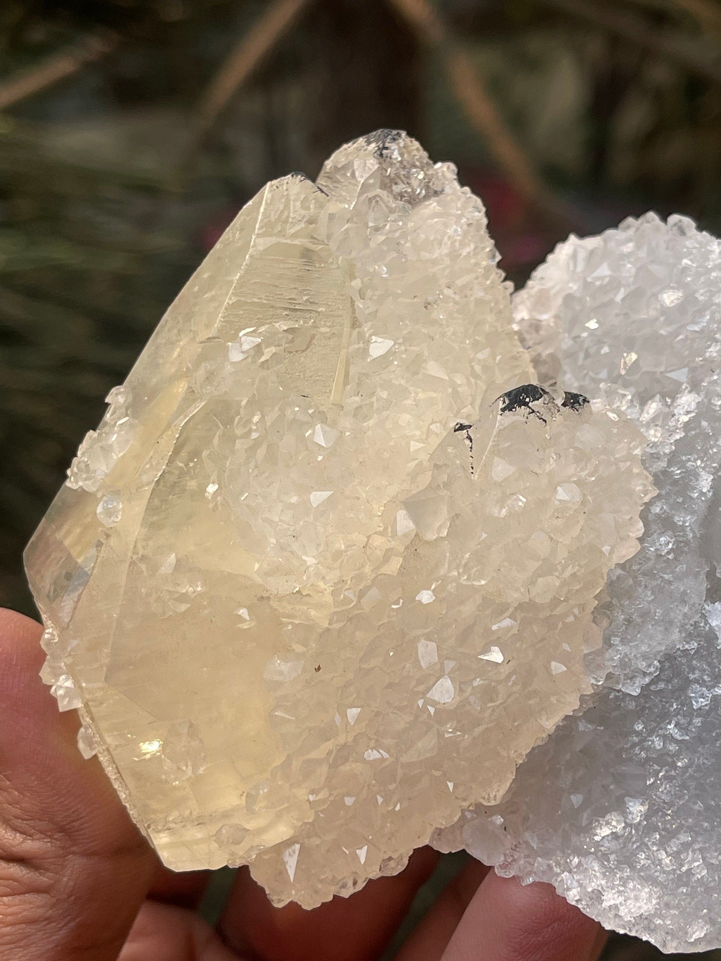 Rare..! Natural formation of golden calcite on apophyllite crystal,