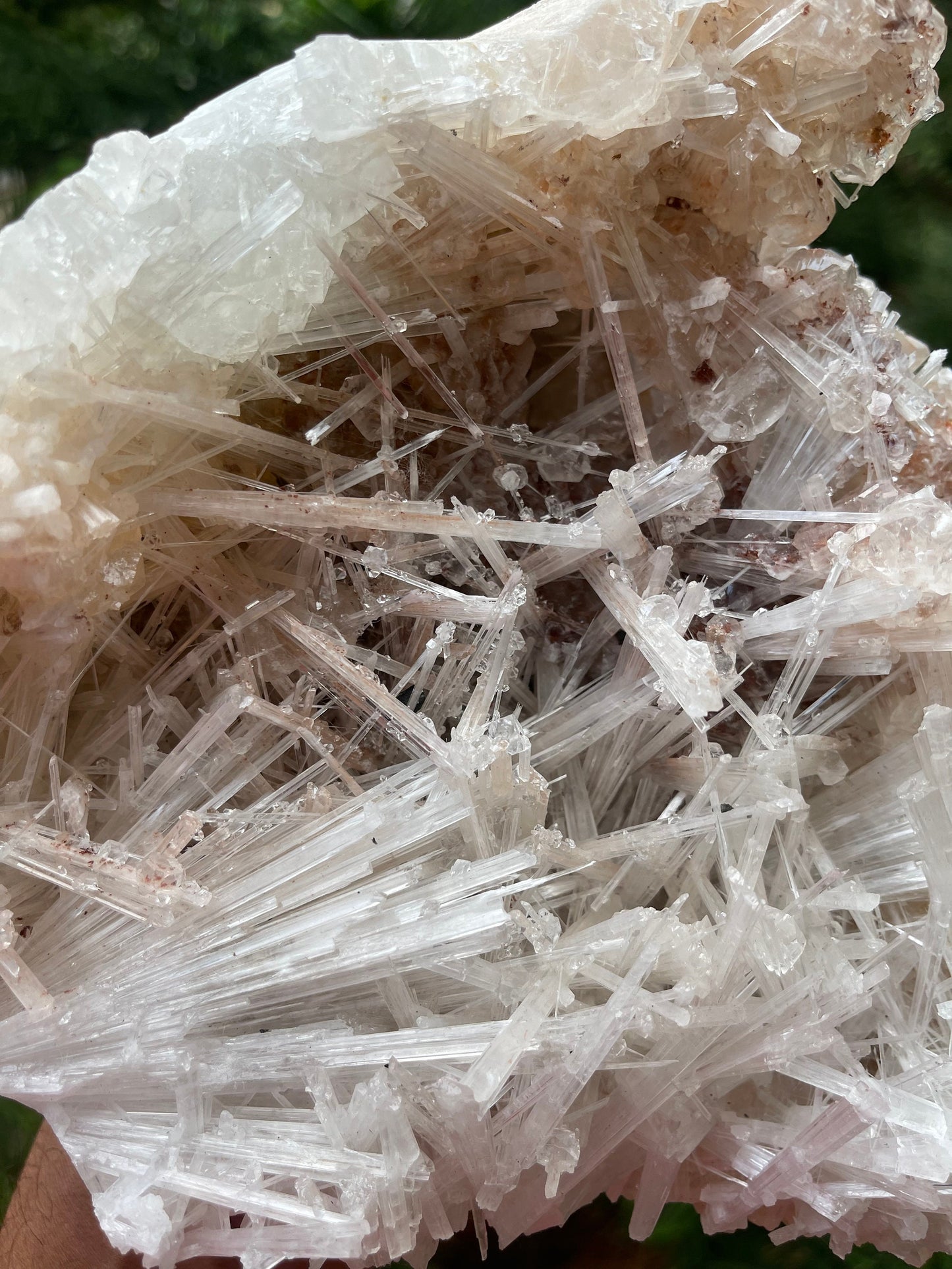 Clear apophyllite crystal on Glossy scolecite spray natural specimen