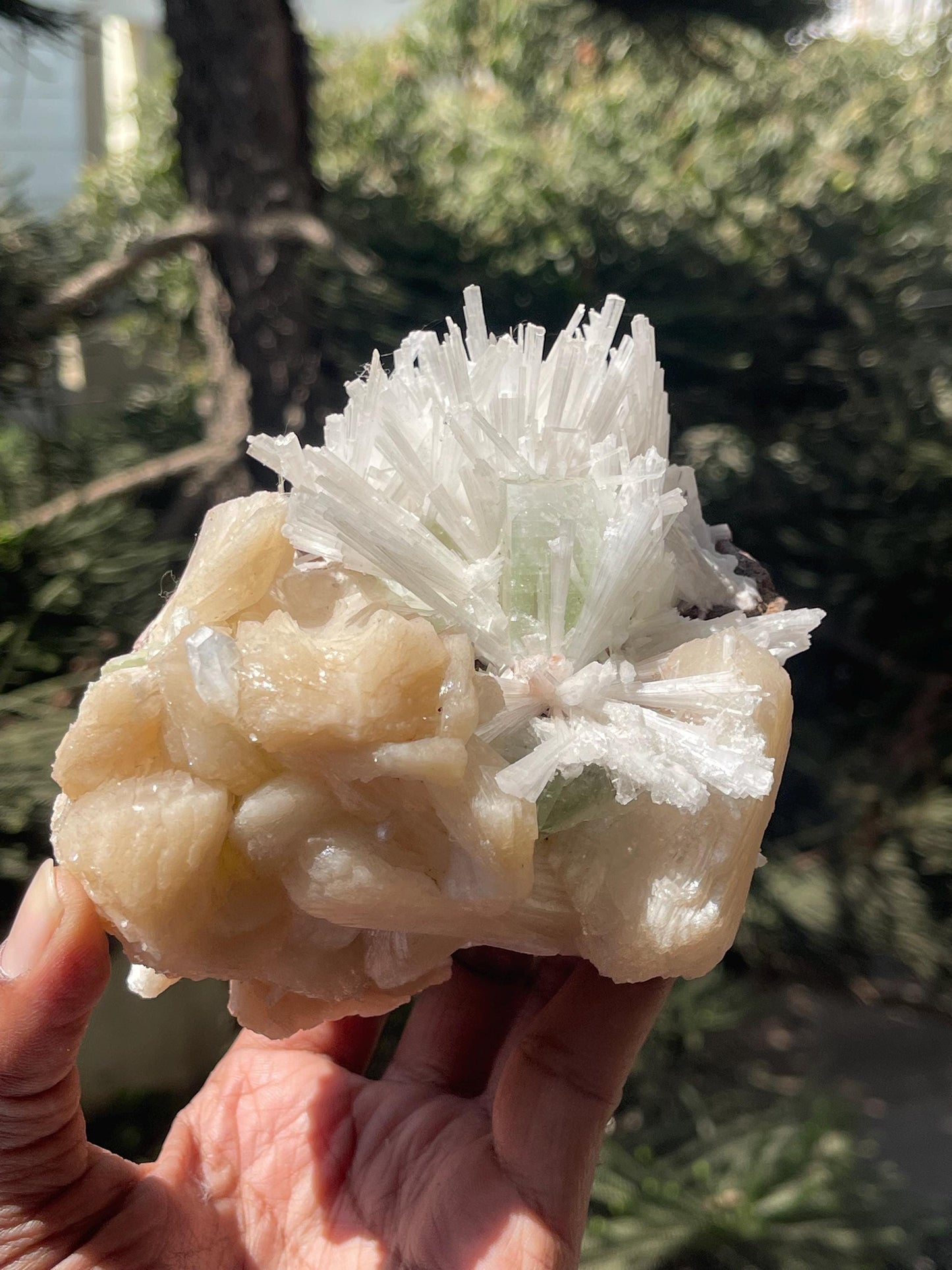 Green Apophyllite crystal  on Scolecite Flower with Peach Stilbite