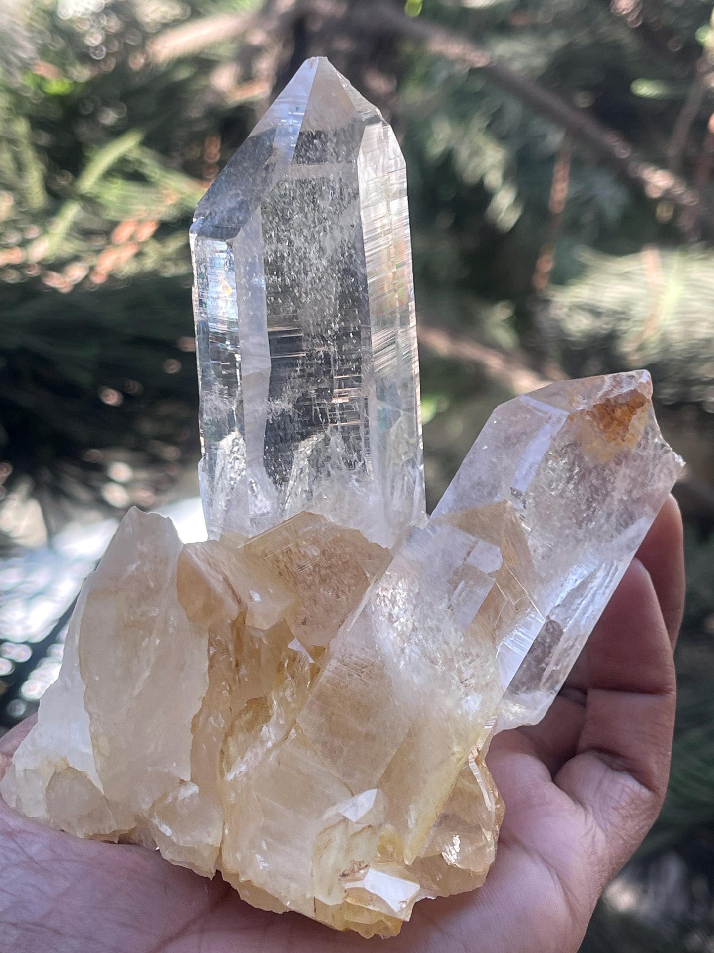 water clear Himalayan cathedral quartz crystal on matrix