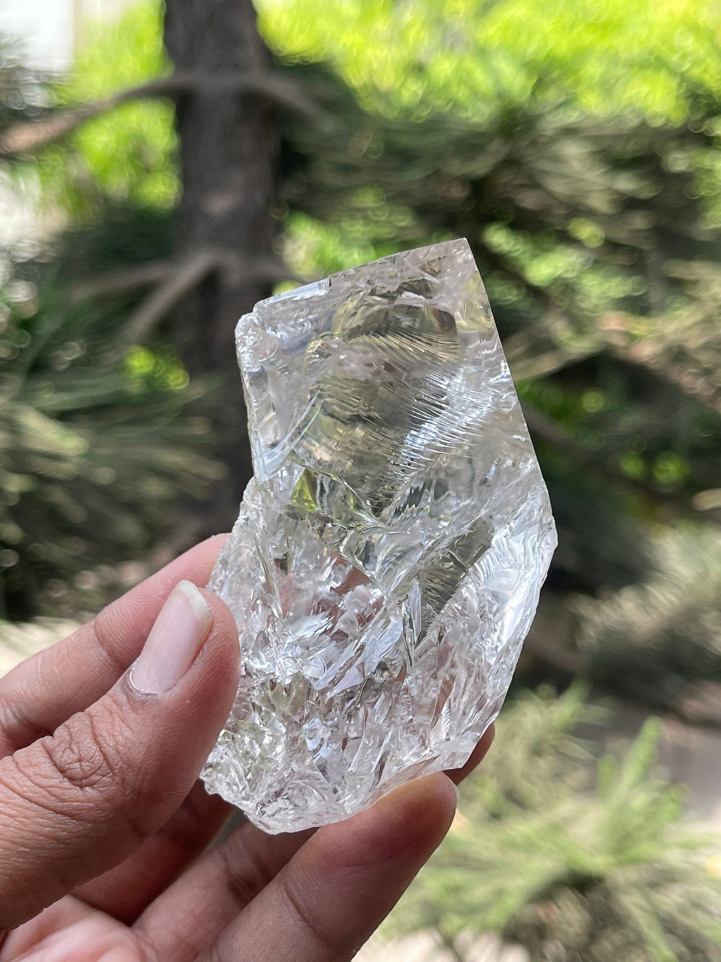 Water clear Himalayan quartz crystal