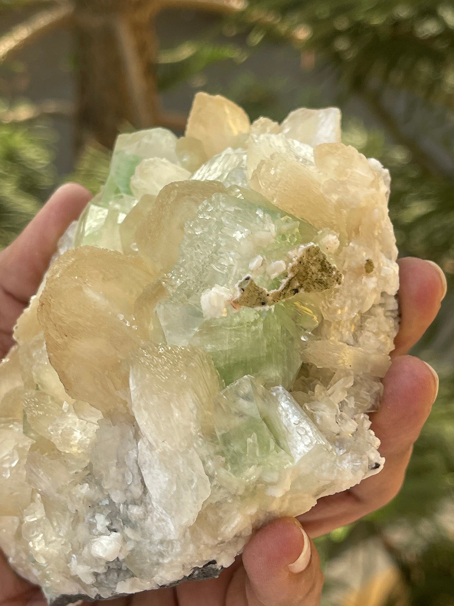 Cubicle green apophyllite crystal on stilbite