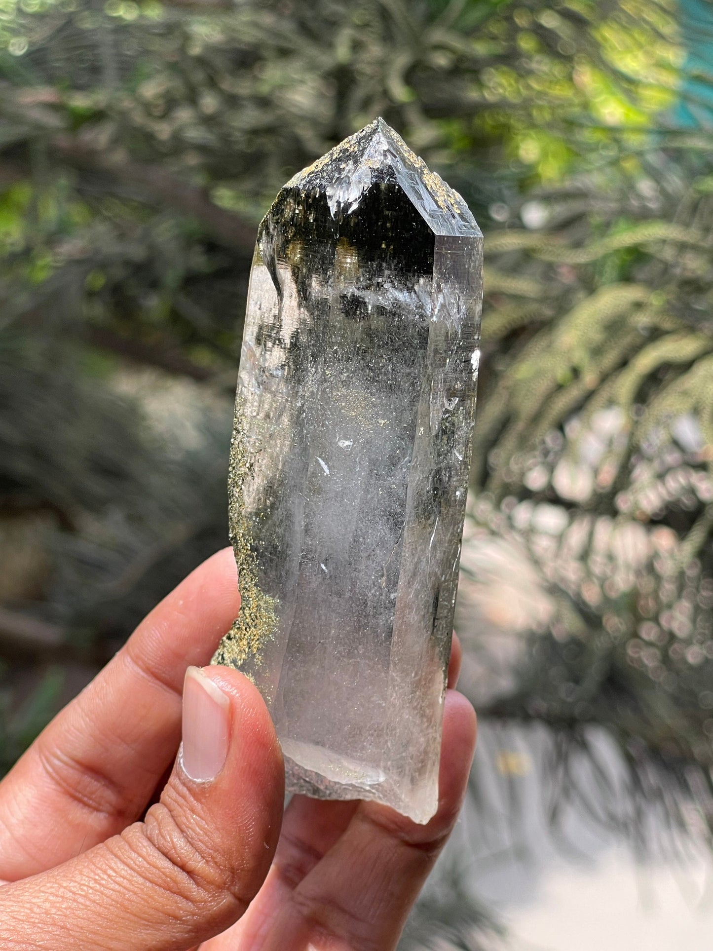 Himalayan Chlorite Quartz Crystal