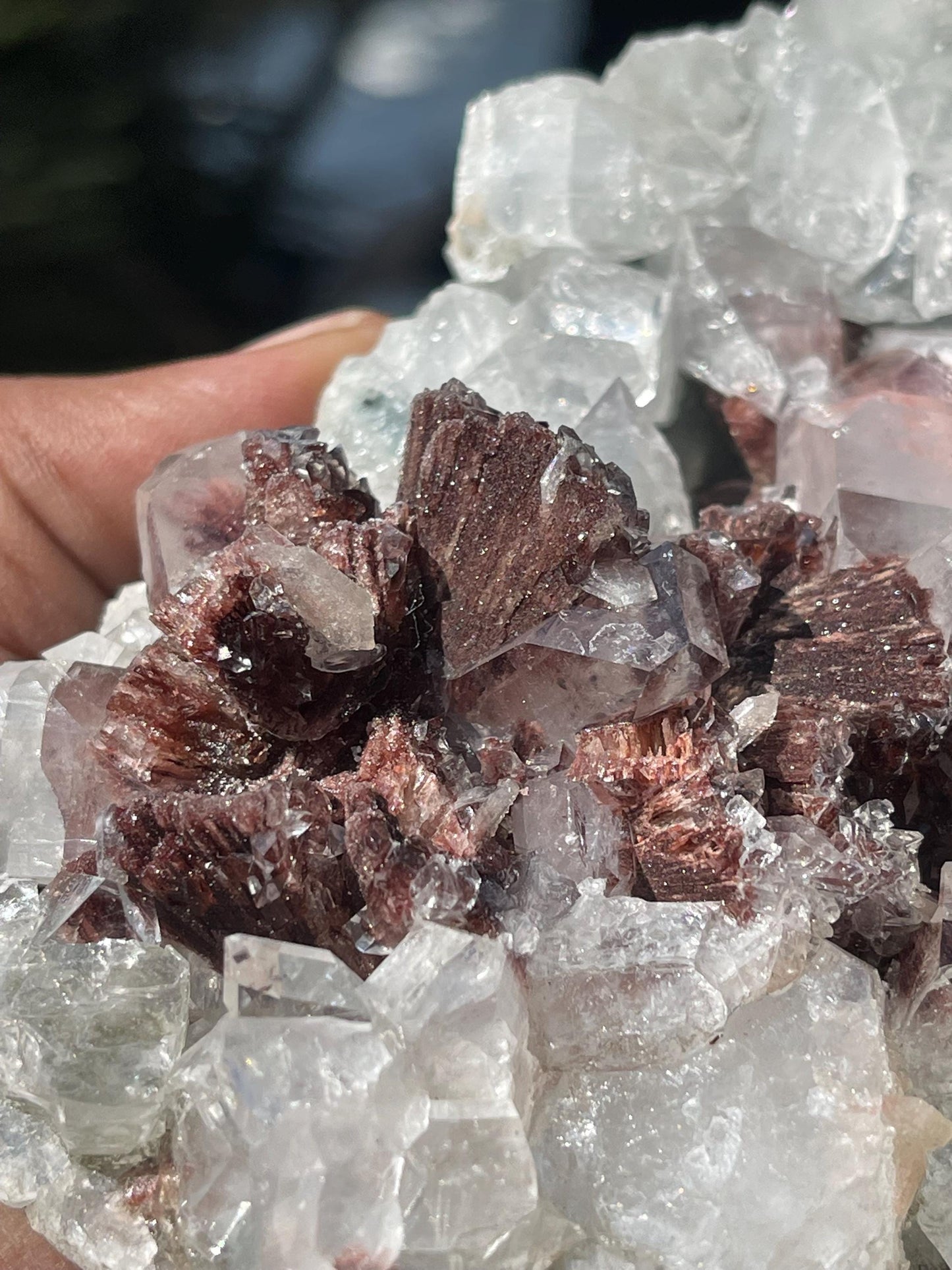 brown heulandite crystal with apophyllite and stilbite