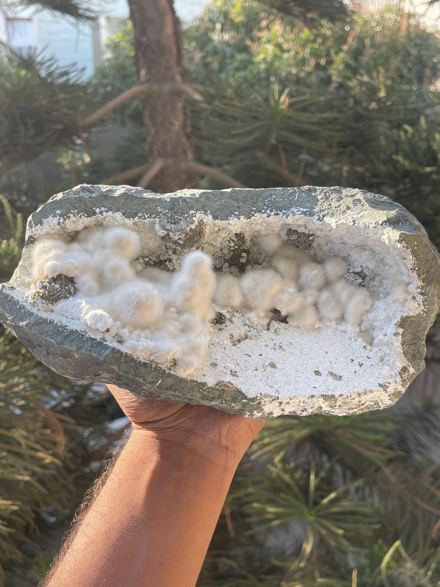 multiple okenite balls inside geode