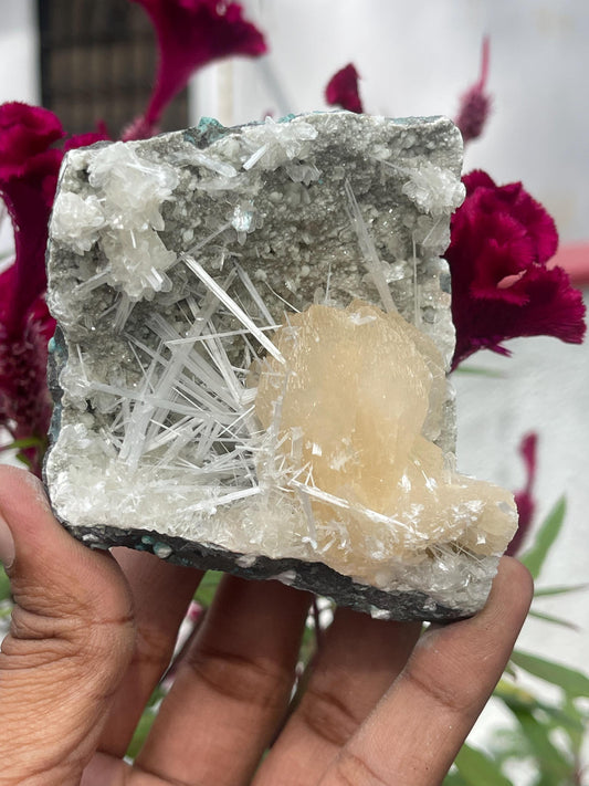Exquisite Scolecite Sprays on Peach Stilbite with Heulandite Matrix