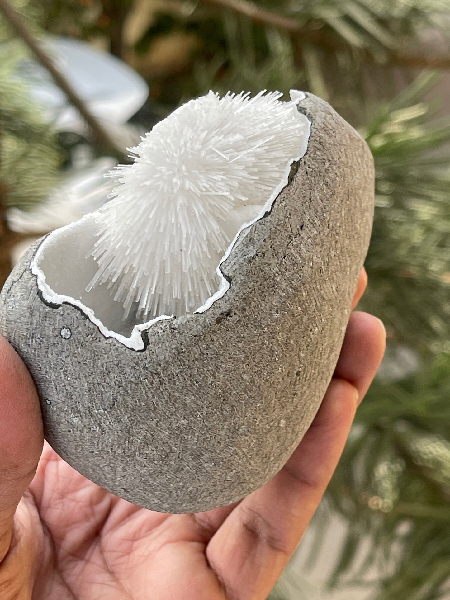 Perfect round of scolecite flowers inside quartz geode natural specimen