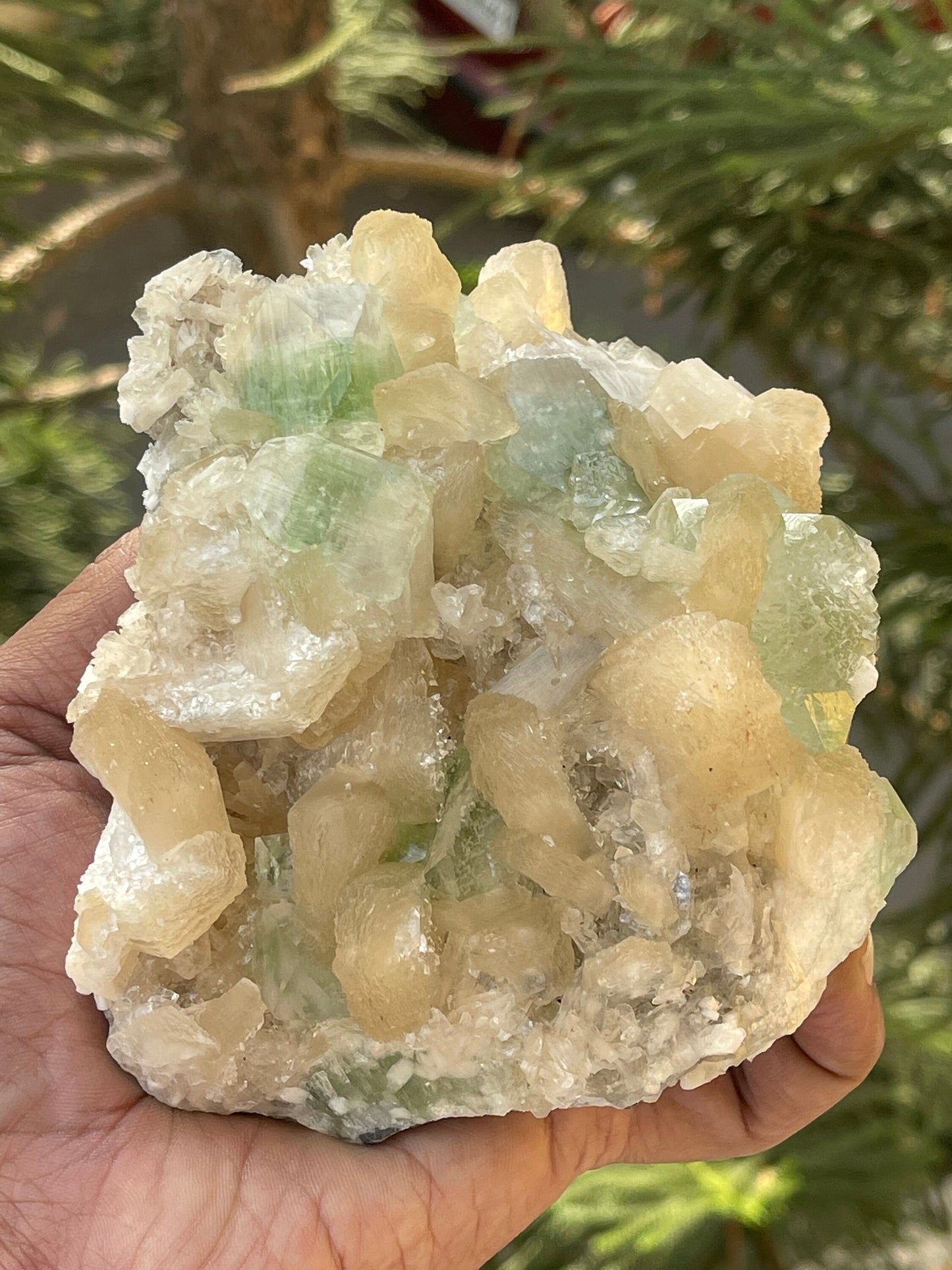 Cubicle green apophyllite crystal on stilbite