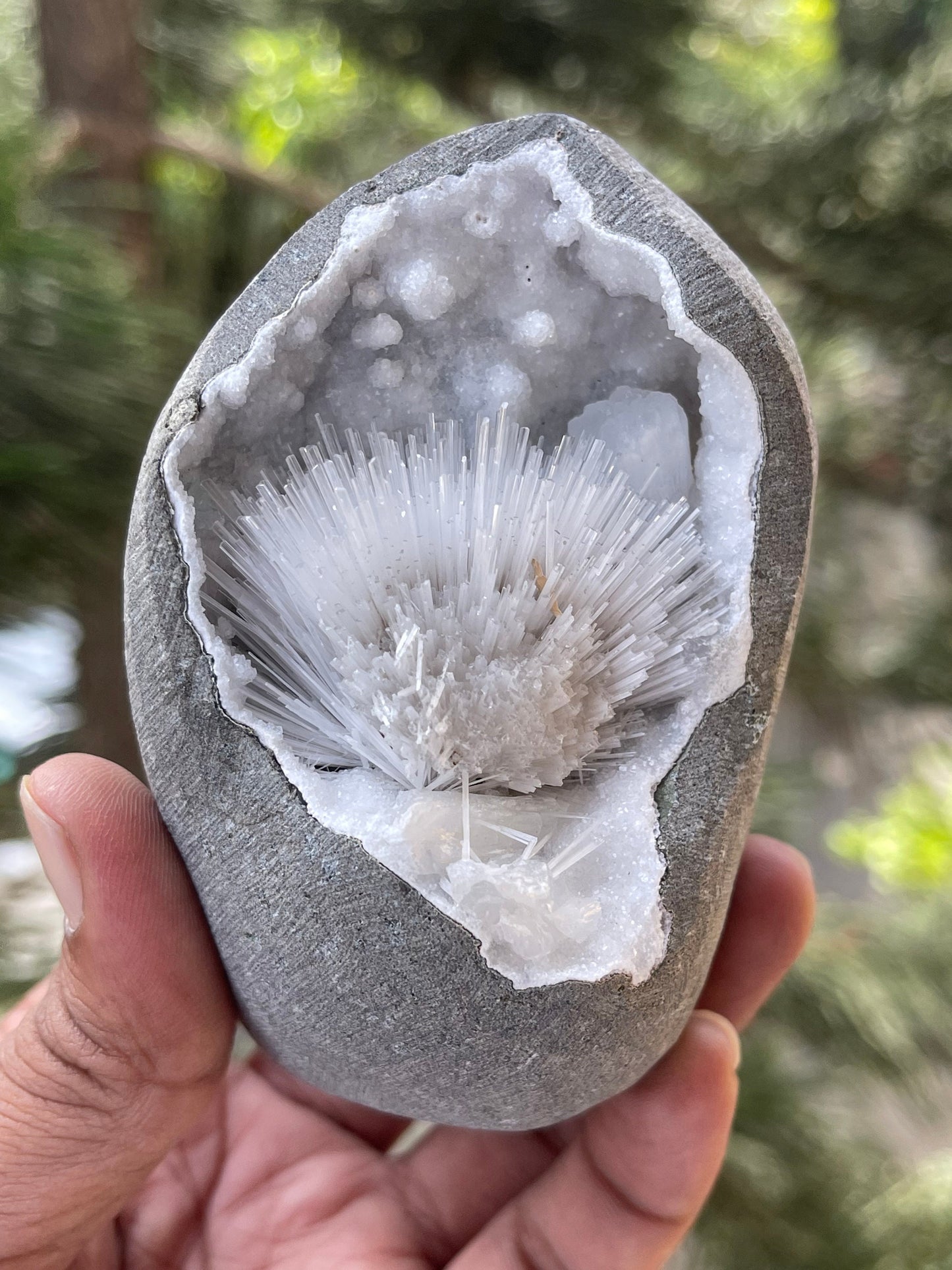 Scolecite flower with stilbite crystal insides quartz geode