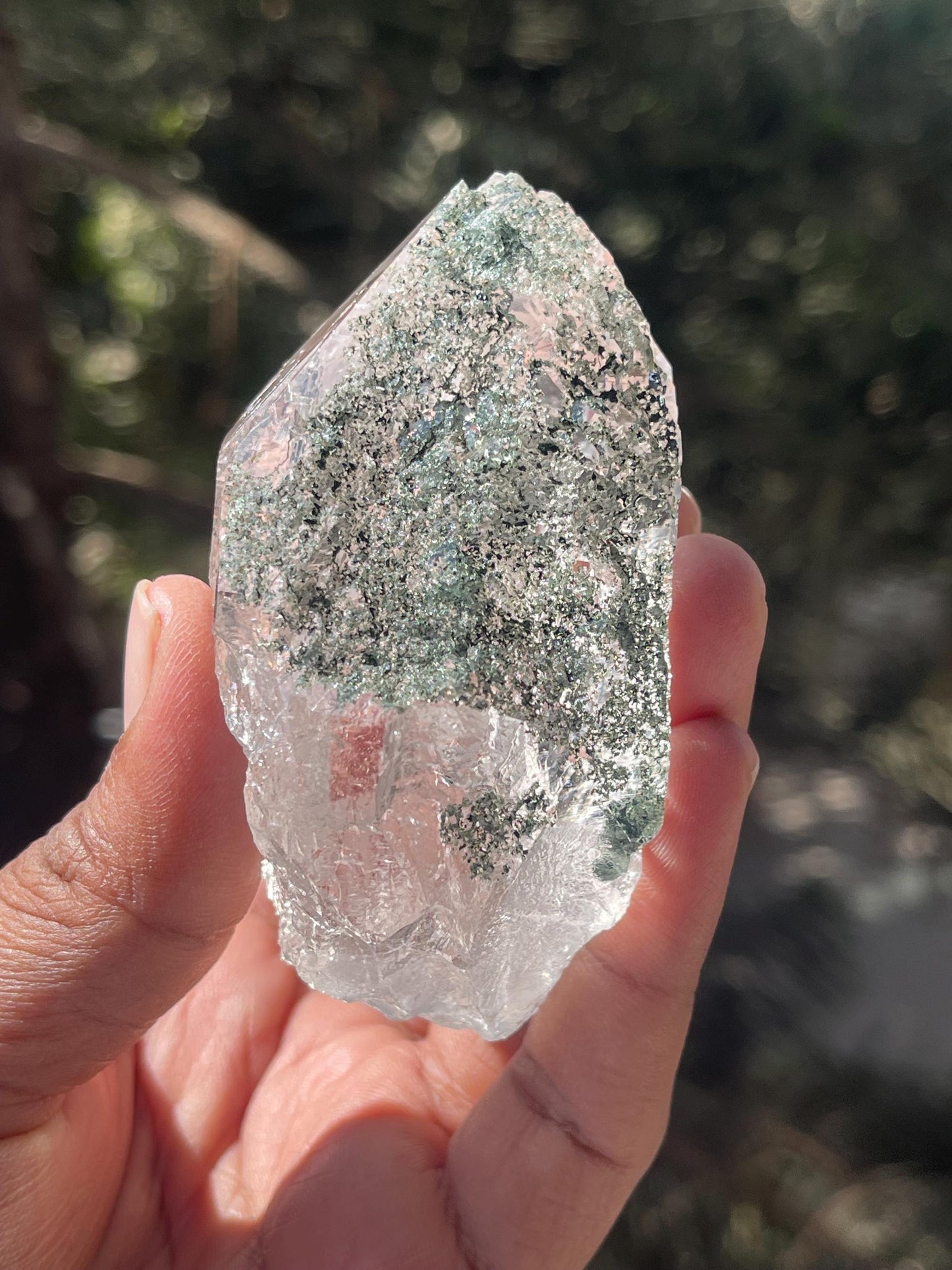 Rare Himalayan Cathedral Quartz Crystal with Green Chlorite – High-Energy Healing crystal