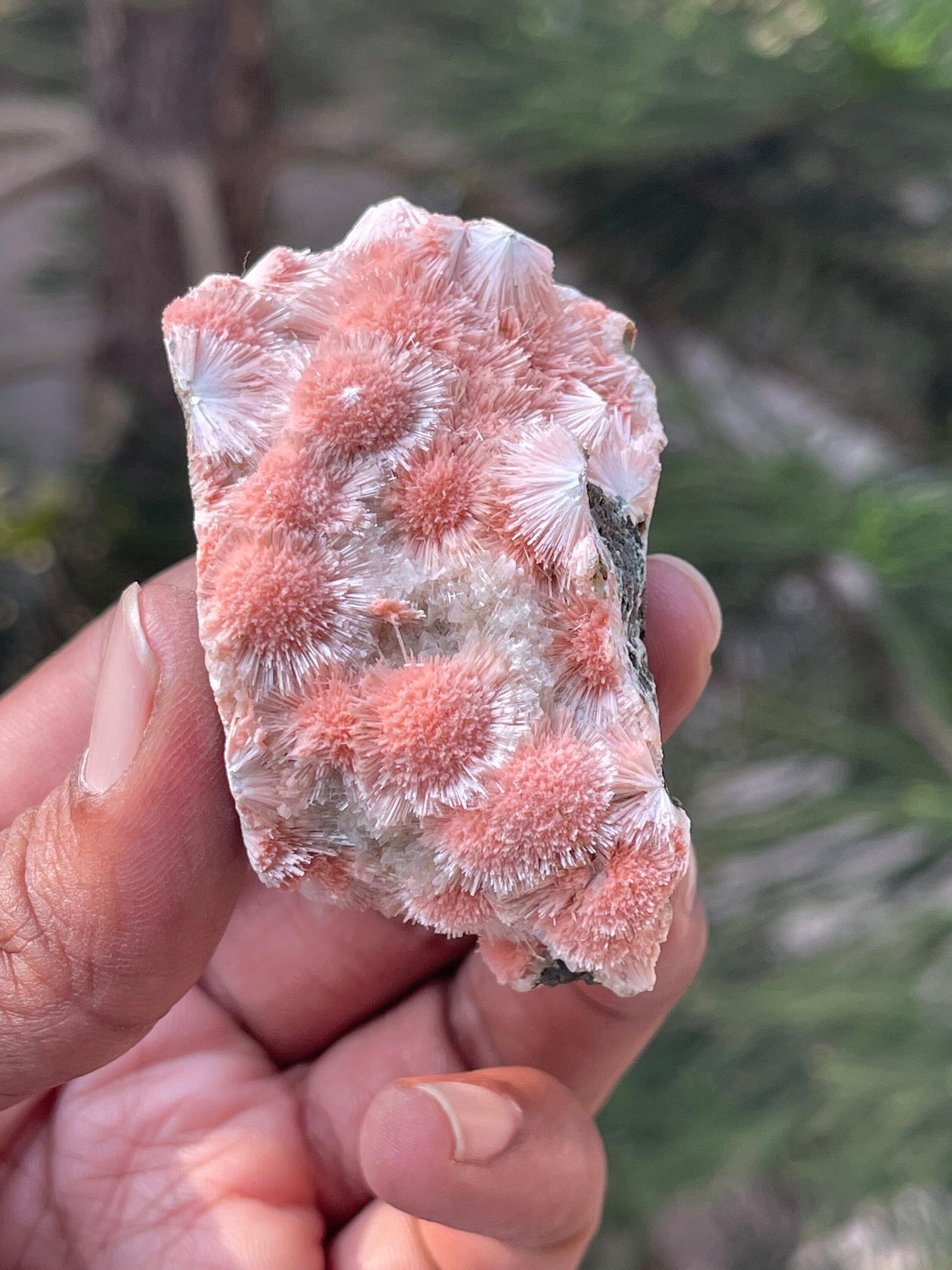 Multiple orange mesolite crystal