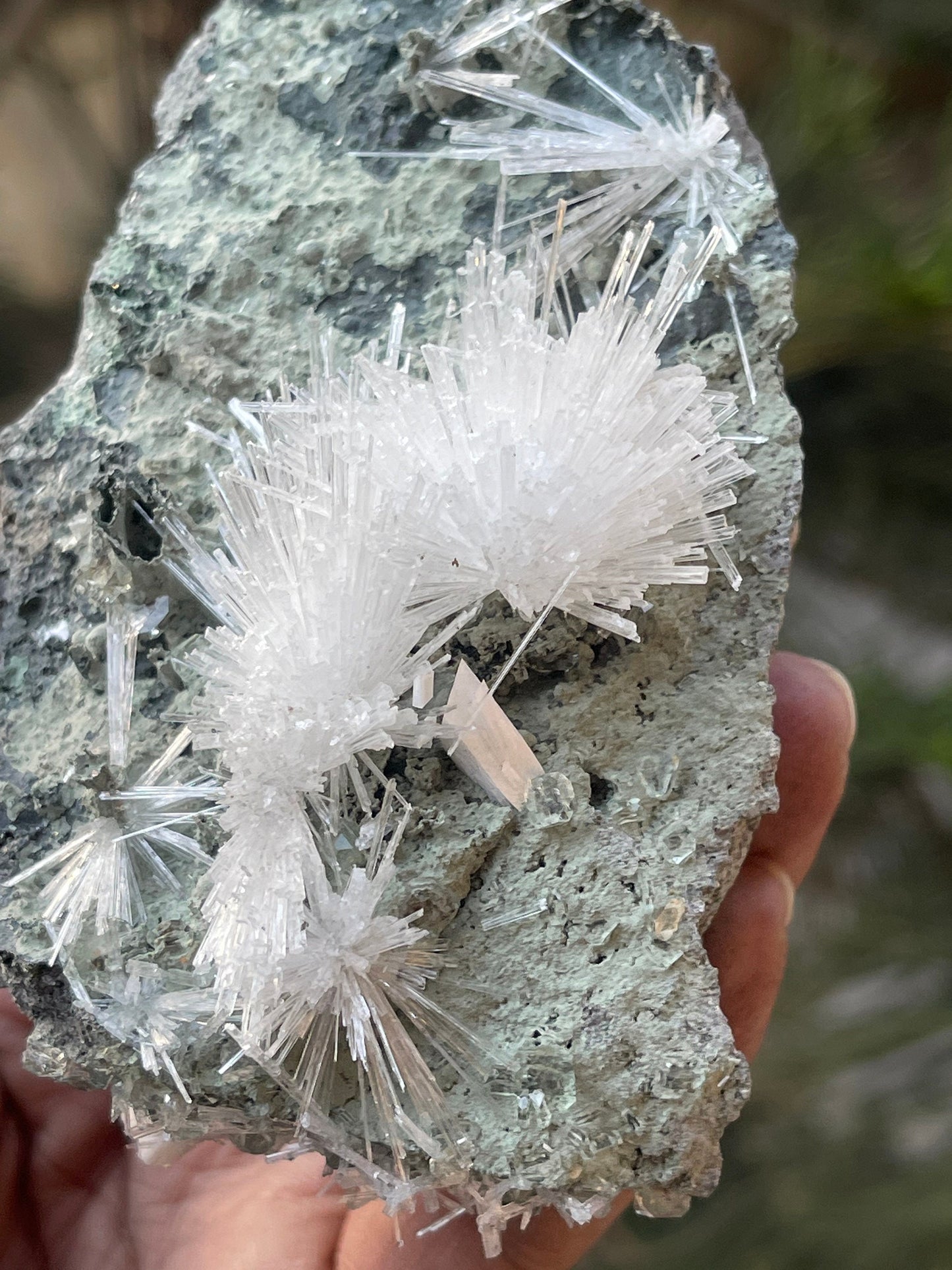 Scolecite Crystal on matrix