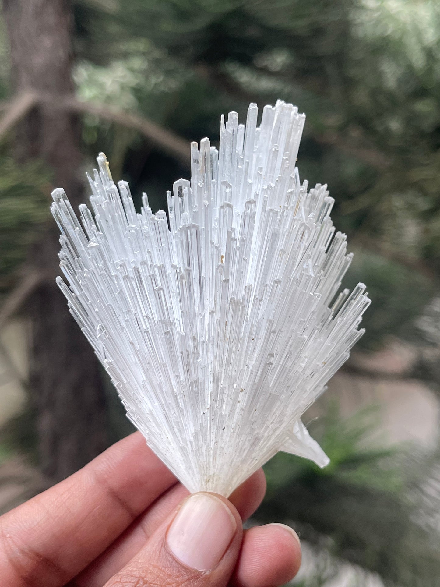 Glossy scolecite flower