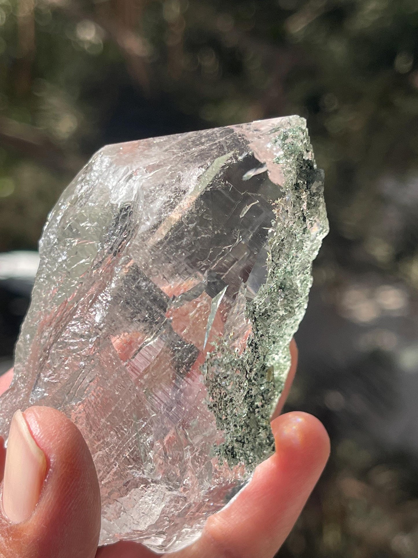 Rare Himalayan Cathedral Quartz Crystal with Green Chlorite – High-Energy Healing crystal