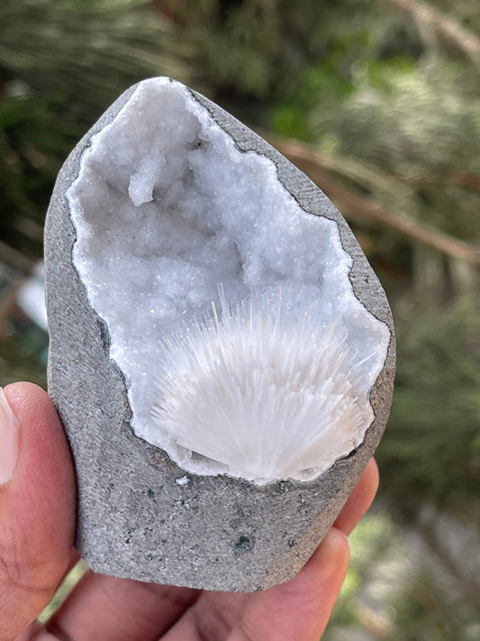 Scolecite flower inside quartz geode