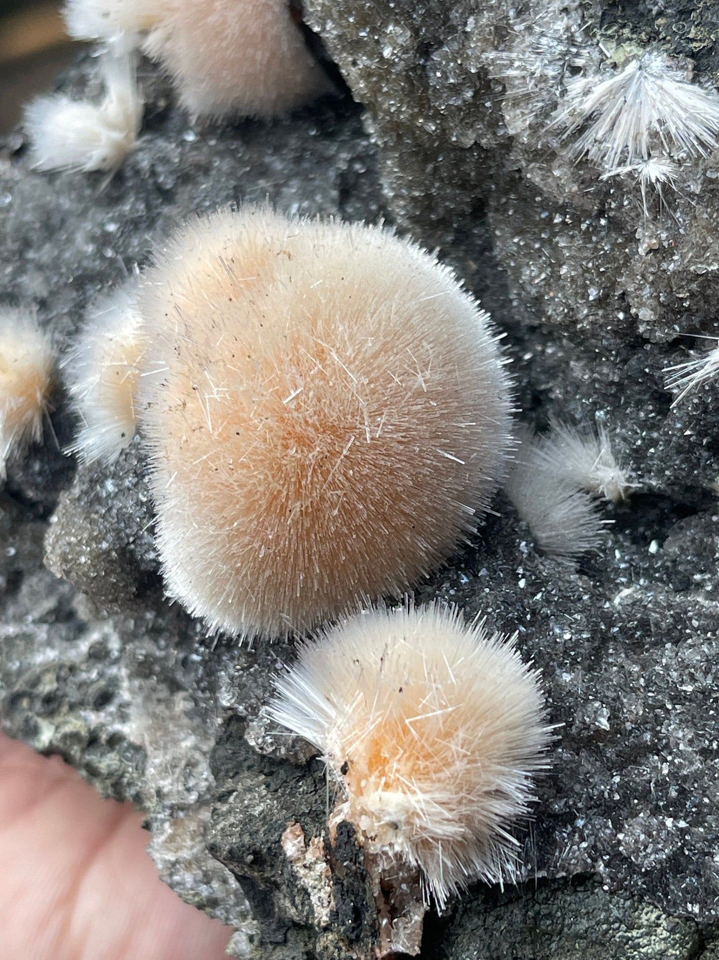 Orange mesolite ball on black matrix